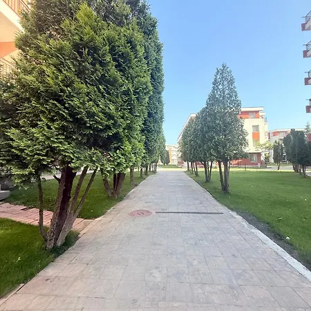 Noks Elenite